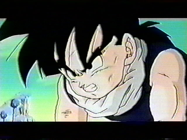 Dragonball Z Movie 6 (1).jpg